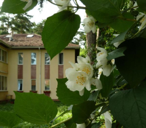 Guest House on Korolyova, Poselok Sovkhoza Ramenskoye, Poselok Sovkhoza Ramenskoye